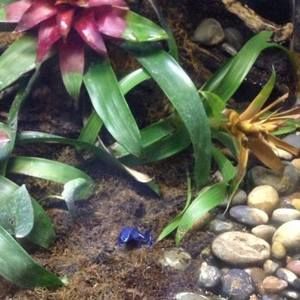 Meet your Posher, Bertha